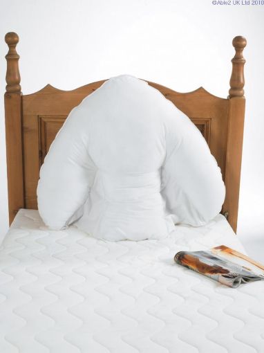 Picture of Harely Batwing Pillow