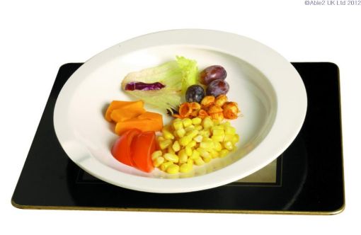 Picture of GripWare Scoop Dish 