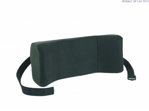 Picture of Harley Winged Support