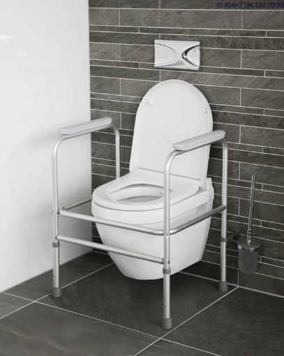 Picture of Atlantis Toilet Frame