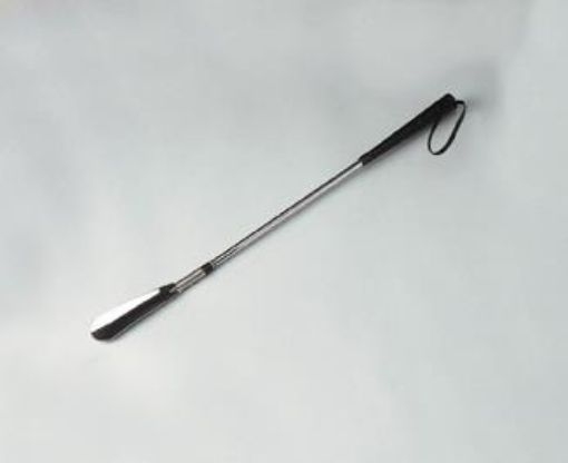 Picture of Shoe Horn with Spring