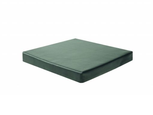 Picture of Harley Comfort Plus Cushion